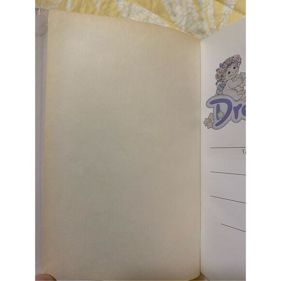 Dreamsicles Bible: New King James Version, leather bound - Picture 5 of 16